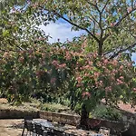 Bed & Breakfast Maison Nathis Saint-Sulpice-de-Roumagnac