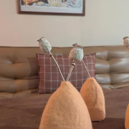 Maison Nathis 3* Saint-Sulpice-de-Roumagnac