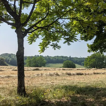 Maison Nathis 4*