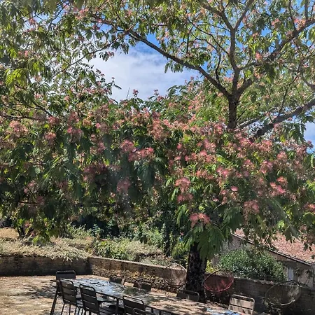 Bed & Breakfast Maison Nathis Saint-Sulpice-de-Roumagnac