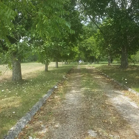 Maison Nathis Oda ve Kahvaltı 4*