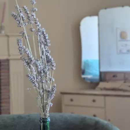 Bed & Breakfast Maison Nathis Saint-Sulpice-de-Roumagnac