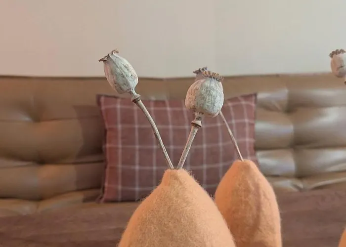 Maison Nathis 3* Saint-Sulpice-de-Roumagnac