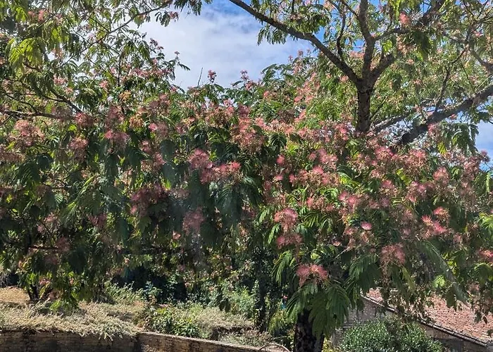 לינה וארוחת בוקר Maison Nathis Saint-Sulpice-de-Roumagnac